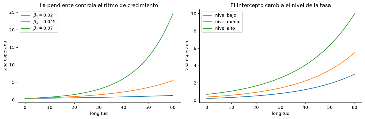 Dos paneles de tasa esperada frente a la longitud: tres pendientes que cambian el ritmo de crecimiento y tres interceptos que cambian el nivel.