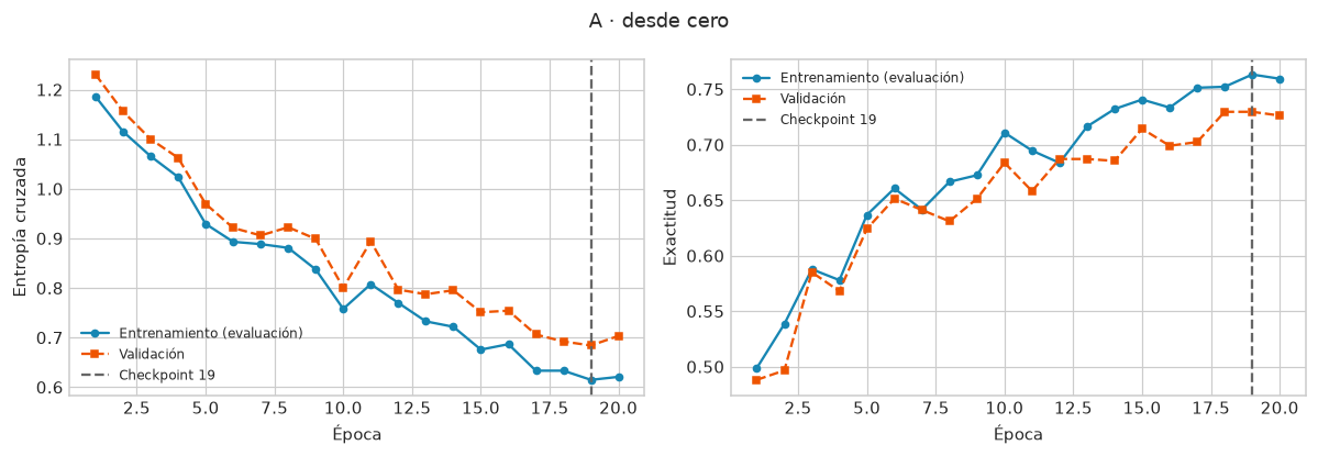 Curvas de pérdida y exactitud de la CNN desde cero; círculos continuos para entrenamiento y cuadrados discontinuos para validación. La línea vertical marca la versión seleccionada.