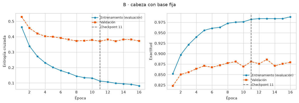 Curvas de pérdida y exactitud al aprender la cabeza con base fija; entrenamiento y validación tienen marcas y estilos distintos.