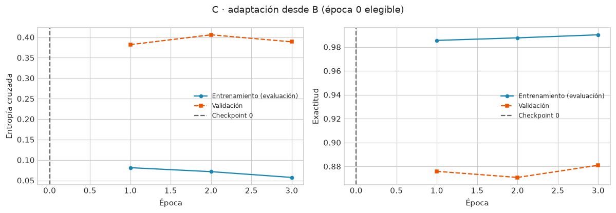 Curvas de pérdida y exactitud del ajuste fino. La versión inicial de B es elegible como época cero.