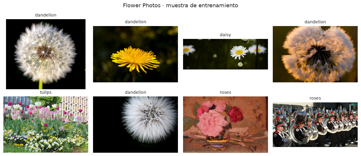 Ocho fotografías del entrenamiento muestran diferencias de encuadre y aspecto entre las flores.