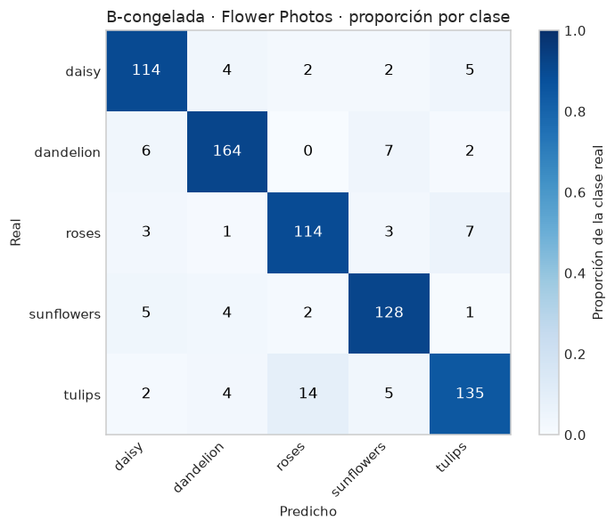 Matriz de confusión por clase real; números de casos y proporciones muestran qué flores se confunden. Ocho errores con mayor probabilidad predicha, con etiqueta real y predicción; una probabilidad alta no garantiza acierto.