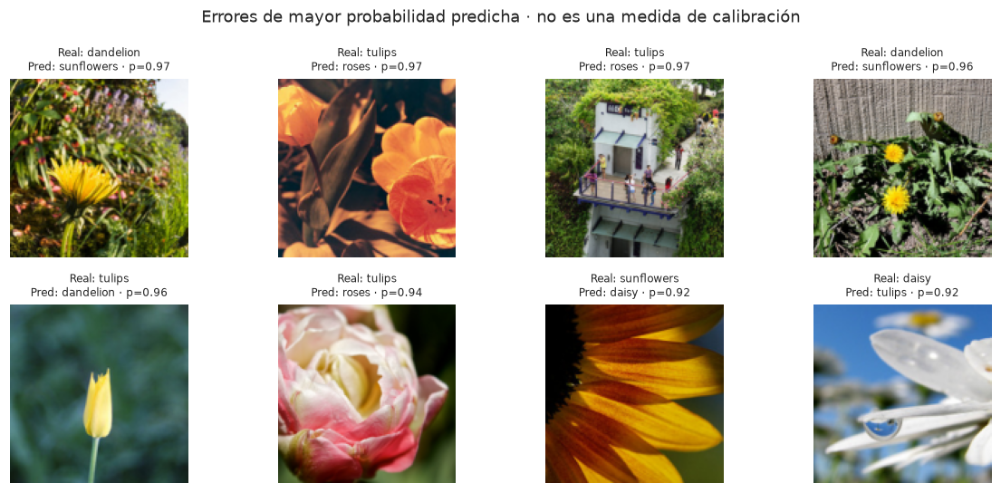 Matriz de confusión por clase real; números de casos y proporciones muestran qué flores se confunden. Ocho errores con mayor probabilidad predicha, con etiqueta real y predicción; una probabilidad alta no garantiza acierto.